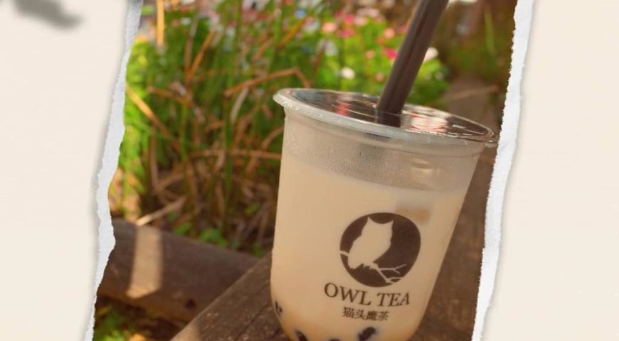 ■生タピオカ専門店！Owl Tea 新宿店■最新情報